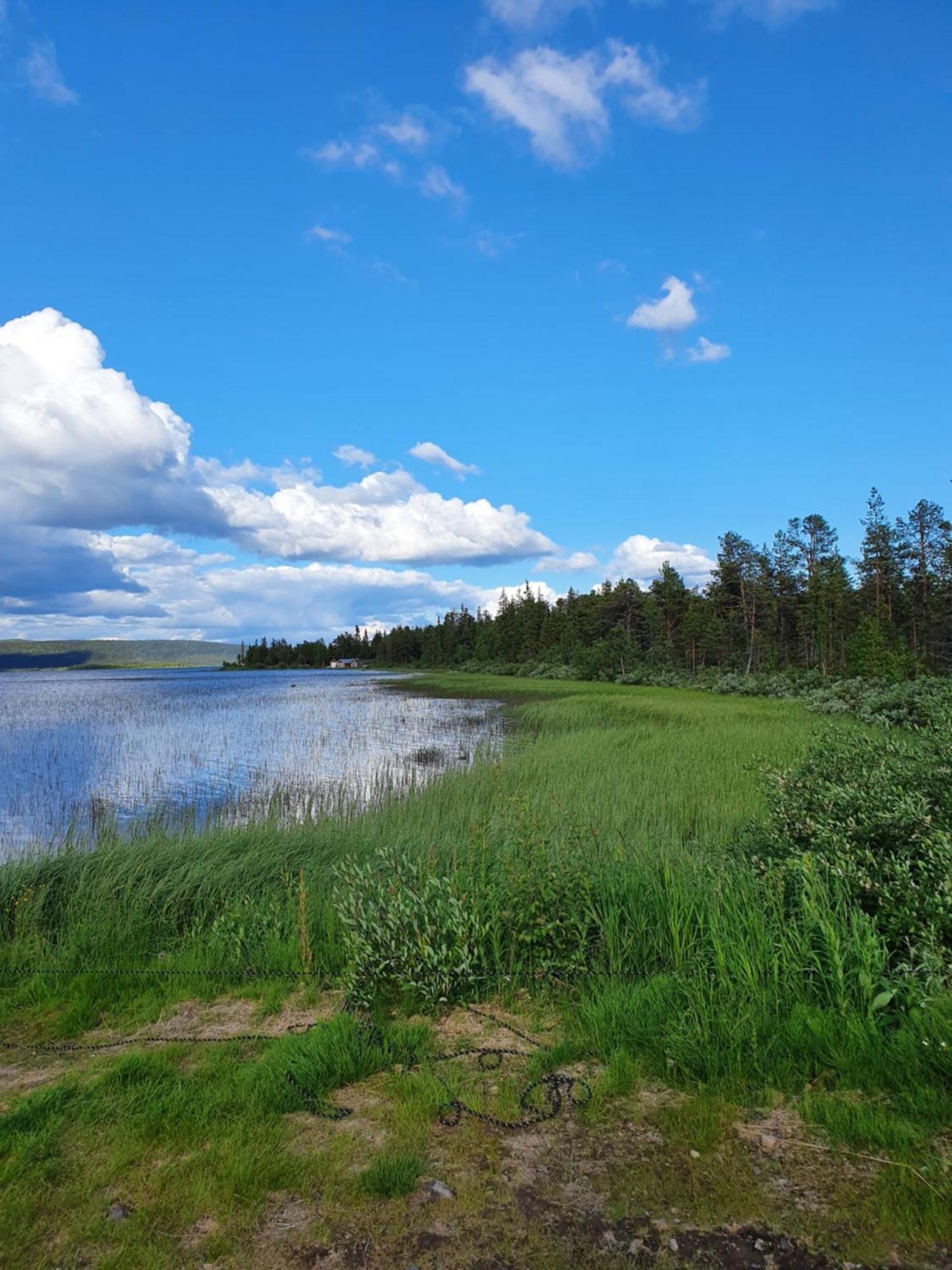 Camp Caroli Wooden Cabins Jukkasjärvi エクステリア 写真