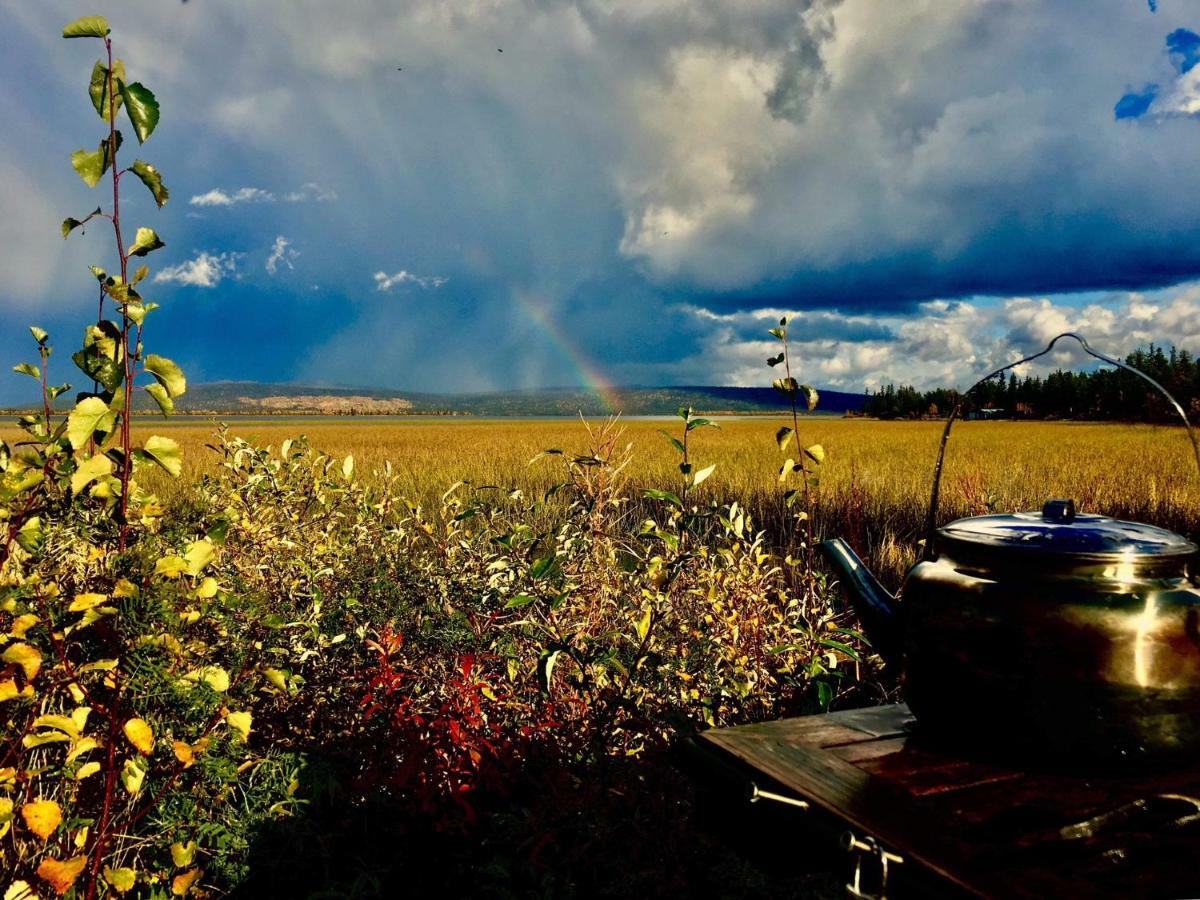 Camp Caroli Wooden Cabins Jukkasjärvi エクステリア 写真